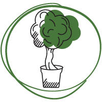 Lombos fák és cserjék