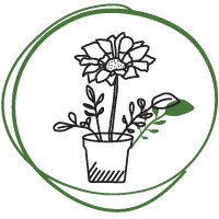 Egynyári növények